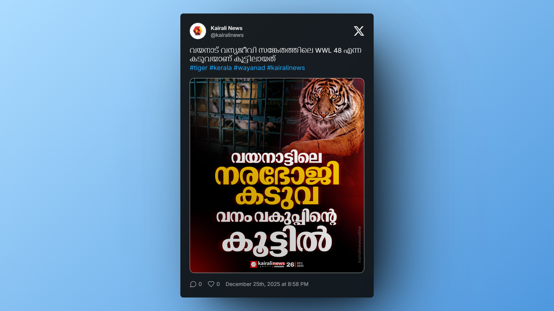 Forest department cage holding tiger WWL 48 in Wayanad Wildlife Sanctuary