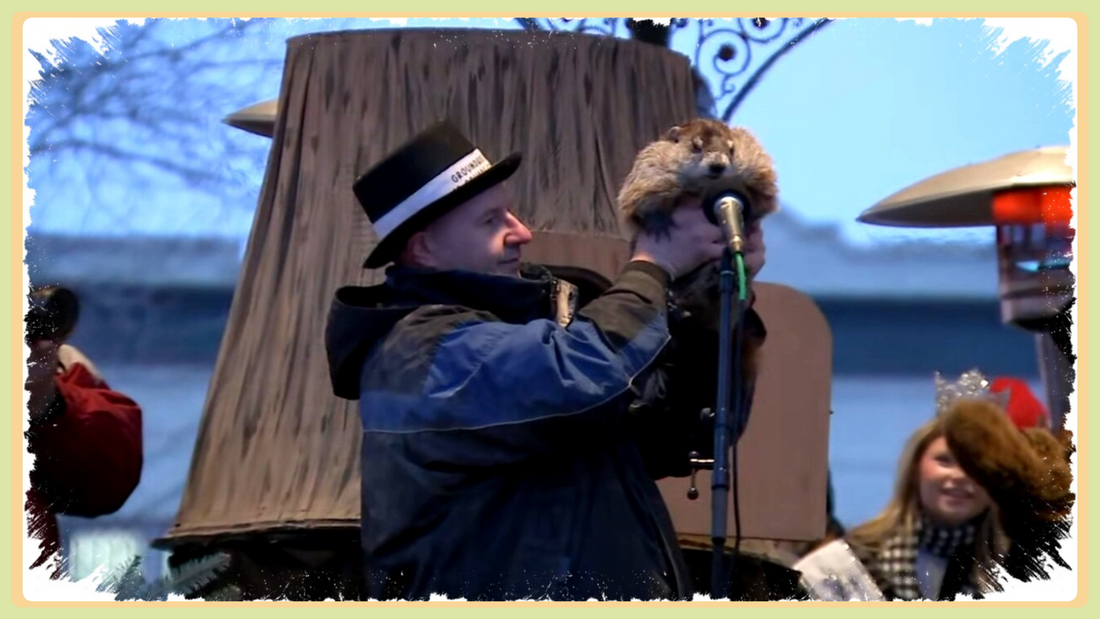 Groundhog Day 2026 Woodstock Willie no shadow moment